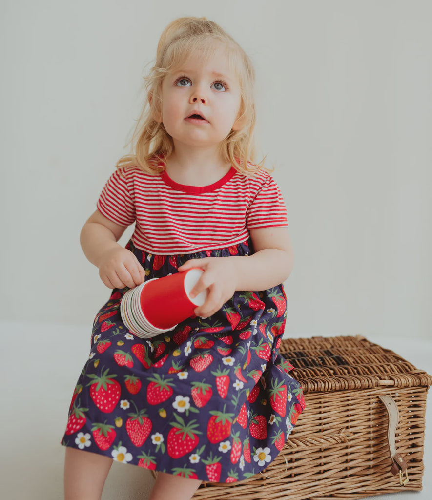 Strawberry & Stripe Jersey Dress