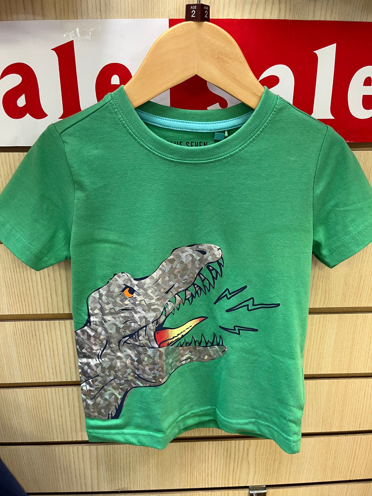 Dinosaur Tee Boys 802319X