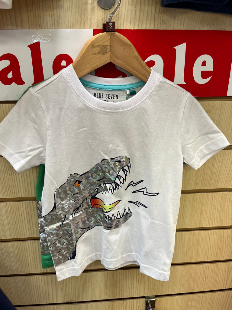 Dinosaur Tee Boys 802319X