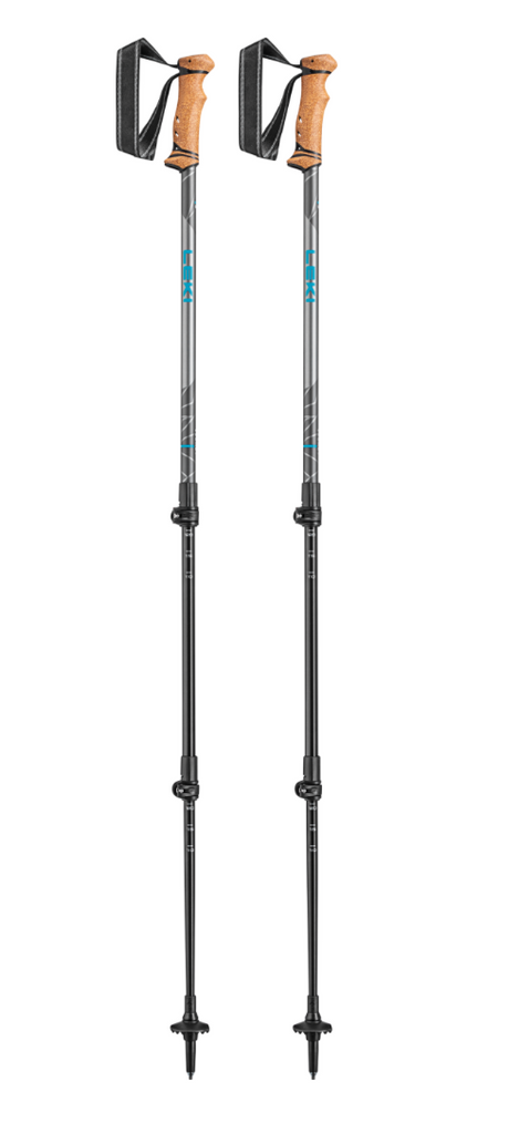 Legacy Walking Pole Set